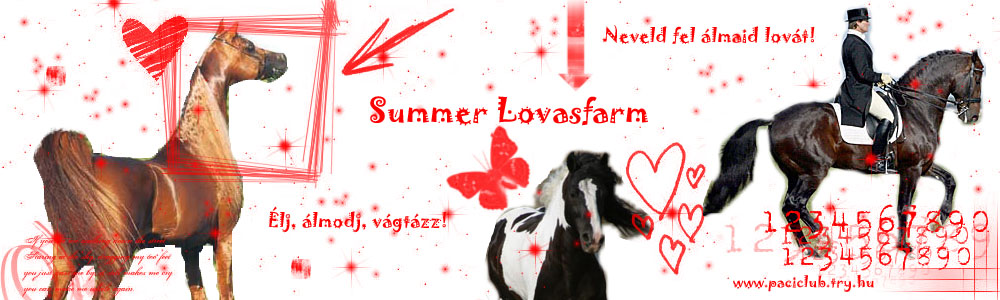 Summer Lnevelde - Neveld fel sajt lovad!